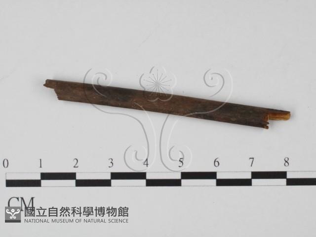 登錄號:F0019631藏品圖，第3張