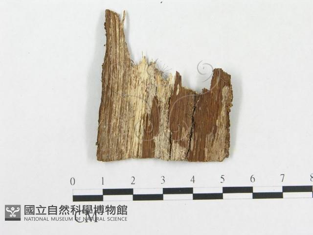 登錄號:F0020431藏品圖，第3張