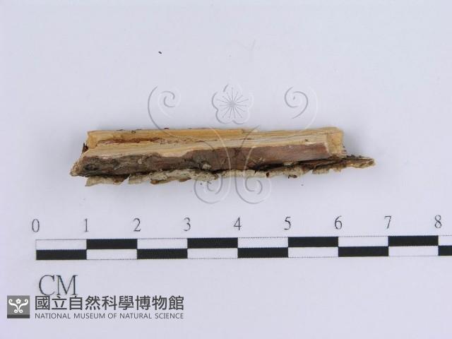 登錄號:F0002431藏品圖，第3張