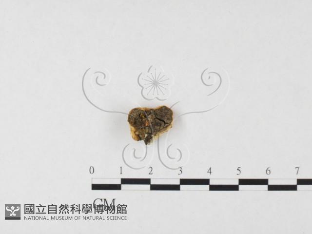 登錄號:F0026731藏品圖，第3張