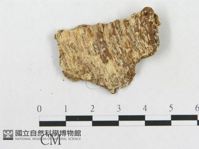 登錄號:F0016731藏品圖，第3張