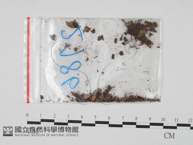 登錄號:F0011731藏品圖，第3張