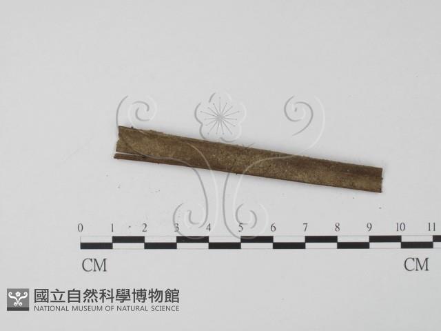 登錄號:F0007731藏品圖，第3張