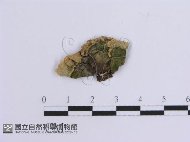 登錄號:F0013731藏品圖，第3張