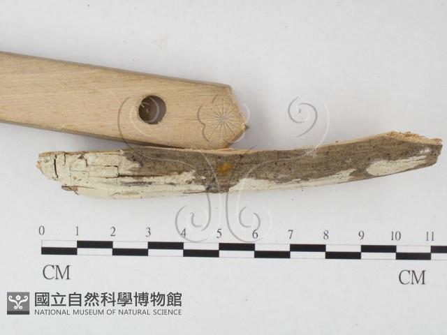 登錄號:F0026531藏品圖，第3張