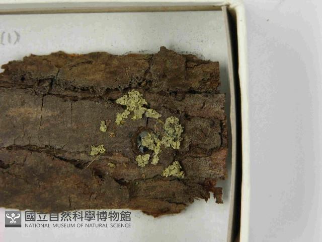 登錄號:F0021531藏品圖，第3張