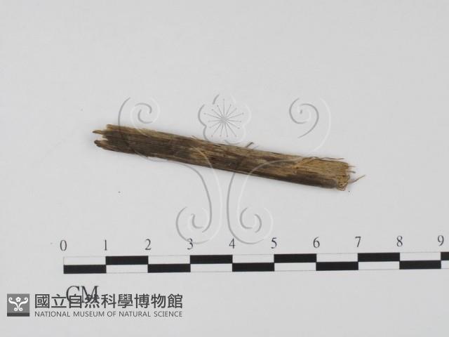 登錄號:F0011531藏品圖，第3張