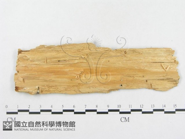 登錄號:F0008131藏品圖，第3張