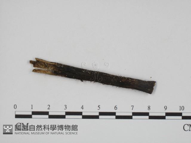 登錄號:F0004131藏品圖，第3張