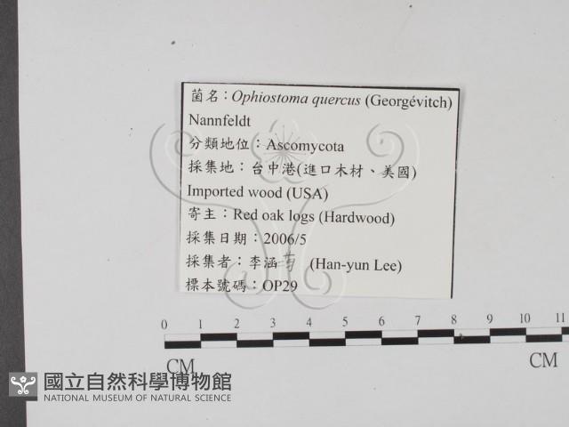 登錄號:F0022131藏品圖，第3張