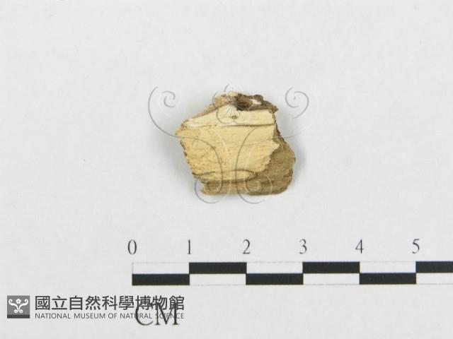 登錄號:F0007131藏品圖，第3張