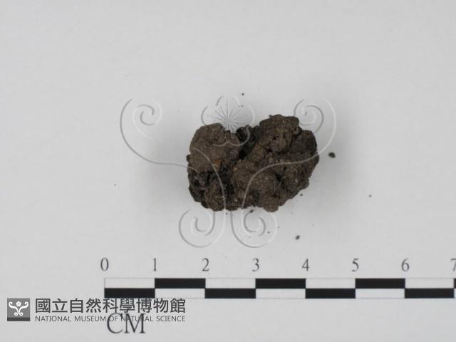 登錄號:F0022031藏品圖，第3張