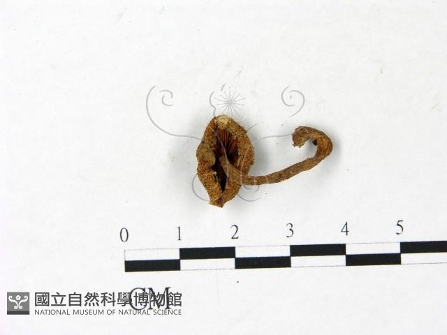 登錄號:F0022871藏品圖，第3張