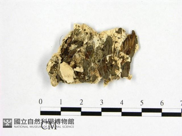 登錄號:F0006971藏品圖，第3張