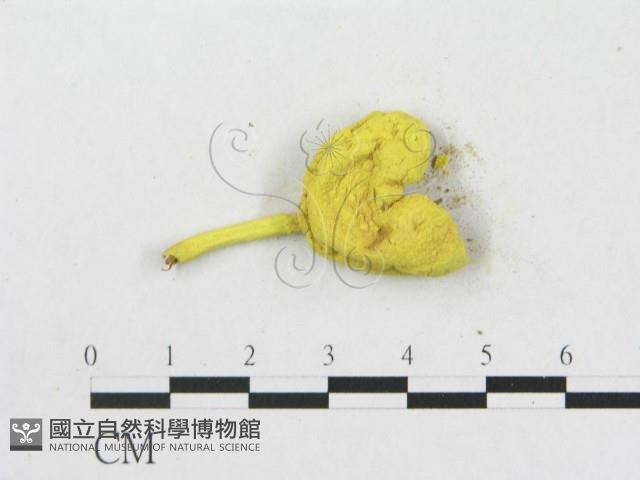 登錄號:F0004971藏品圖，第3張