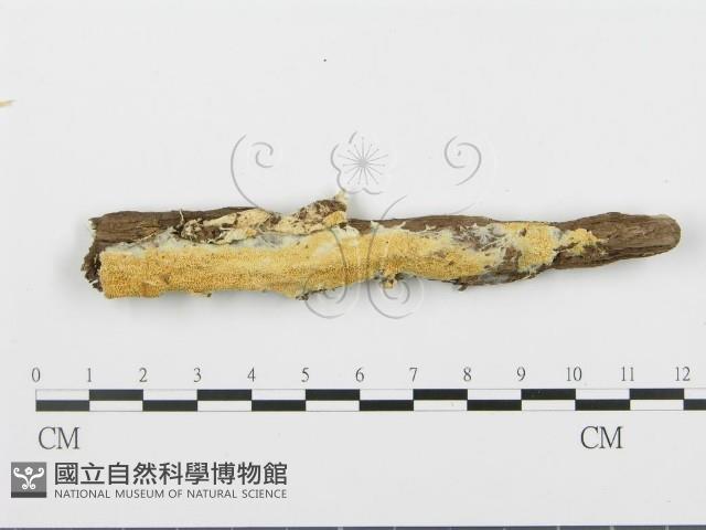 登錄號:F0006671藏品圖，第3張