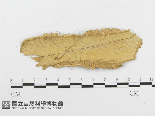 登錄號:F0020471藏品圖，第3張