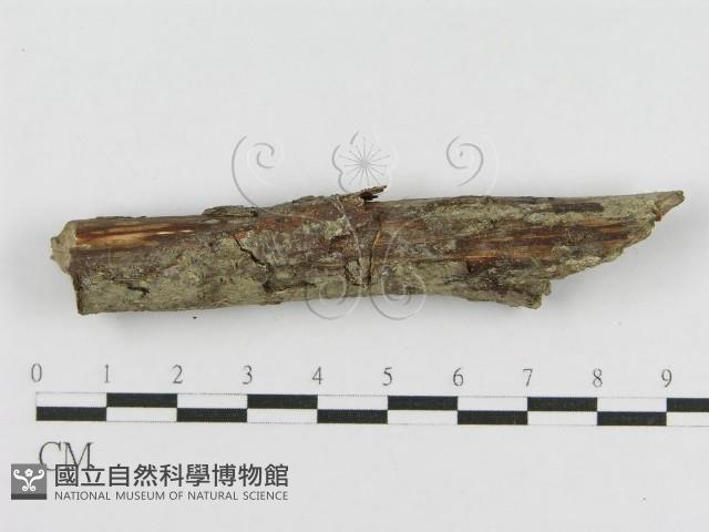登錄號:F0010471藏品圖，第3張