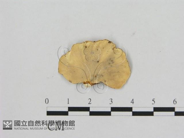 登錄號:F0006471藏品圖，第3張