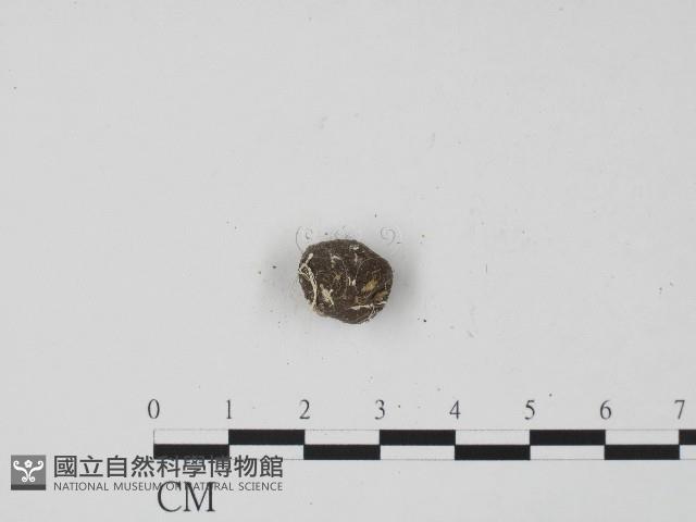 登錄號:F0004471藏品圖，第3張