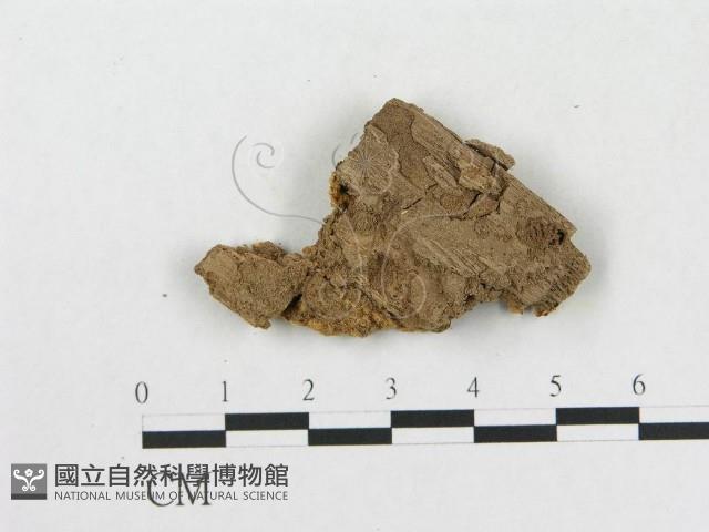 登錄號:F0006571藏品圖，第3張