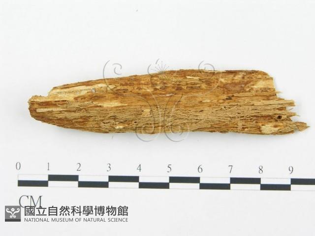 登錄號:F0009571藏品圖，第3張