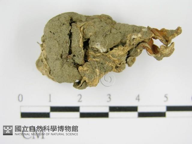 登錄號:F0016171藏品圖，第3張