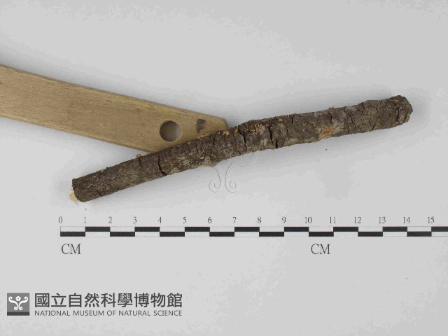 登錄號:F0024071藏品圖，第3張