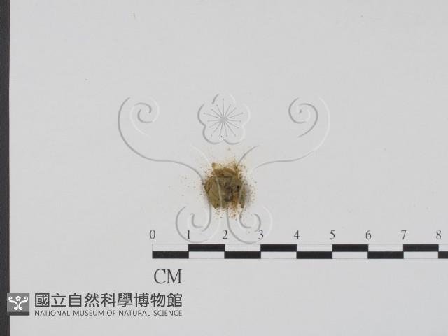 登錄號:F0004071藏品圖，第3張