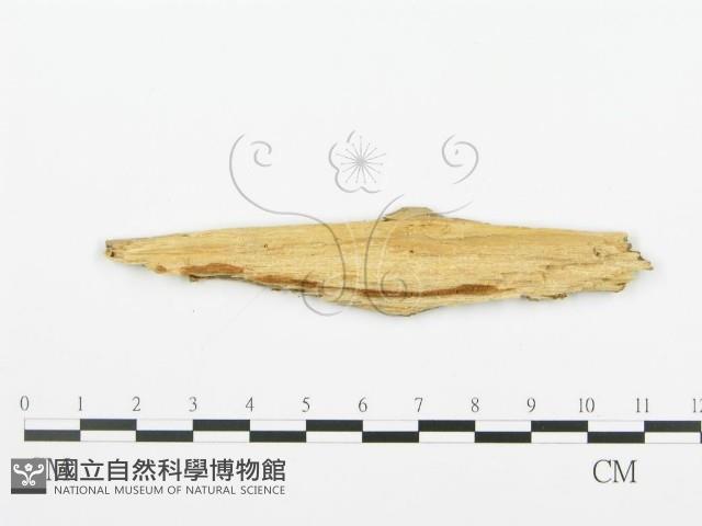 登錄號:F0006371藏品圖，第3張