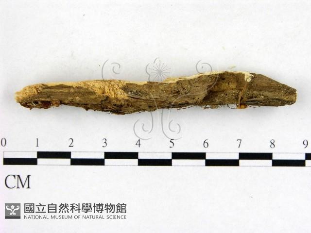 登錄號:F0002371藏品圖，第3張