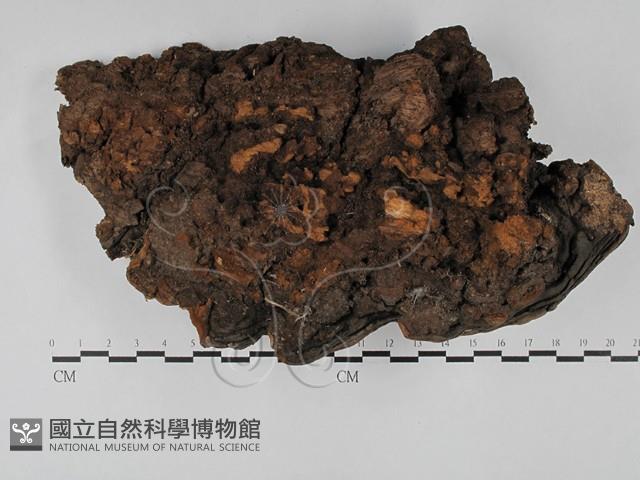 登錄號:F0028864藏品圖，第3張