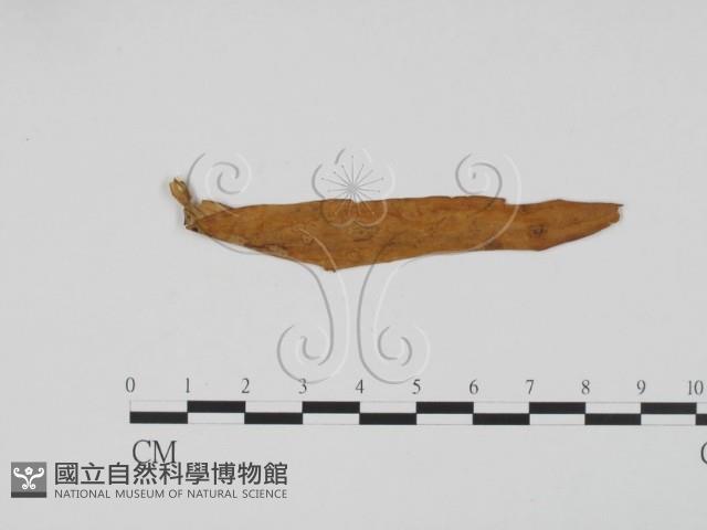 登錄號:F0011864藏品圖，第3張