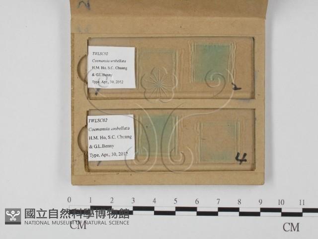 登錄號:F0025864藏品圖，第3張