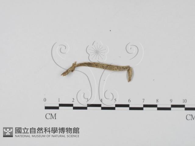 登錄號:F0011964藏品圖，第3張