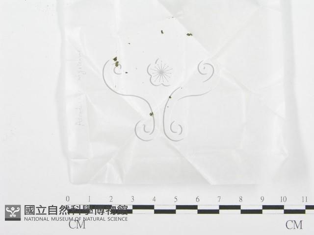 登錄號:F0000664藏品圖，第3張