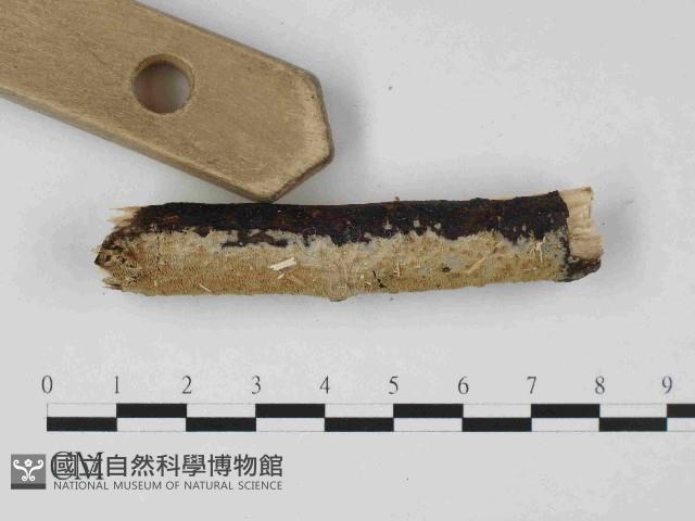 登錄號:F0023664藏品圖，第3張