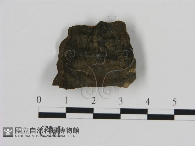 登錄號:F0016464藏品圖，第3張