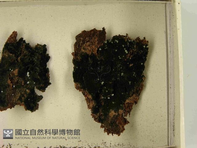 登錄號:F0021464藏品圖，第3張