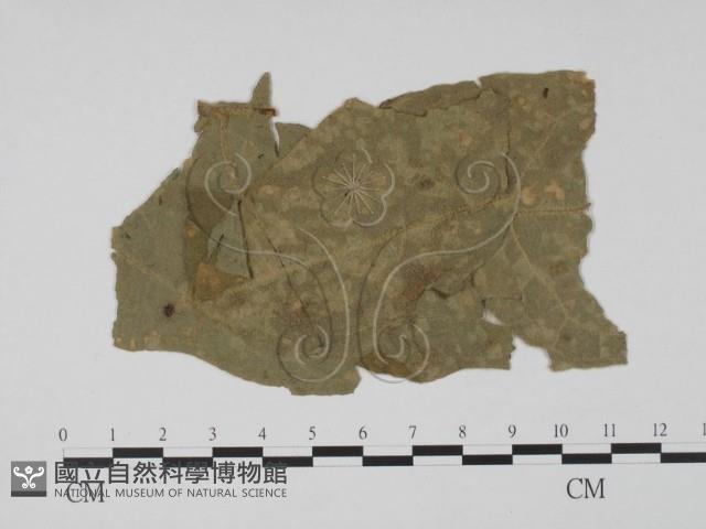 登錄號:F0011764藏品圖，第3張