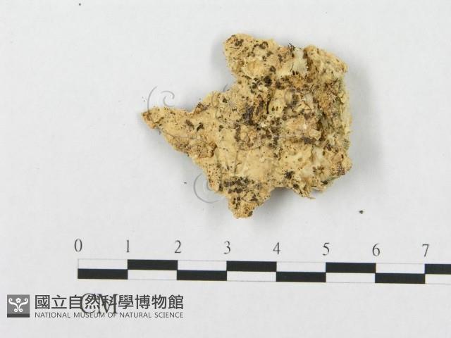 登錄號:F0009764藏品圖，第3張