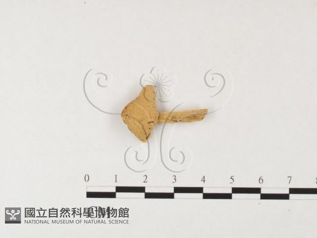 登錄號:F0026164藏品圖，第3張