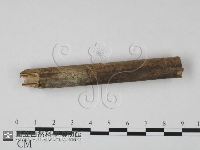 登錄號:F0015164藏品圖，第3張