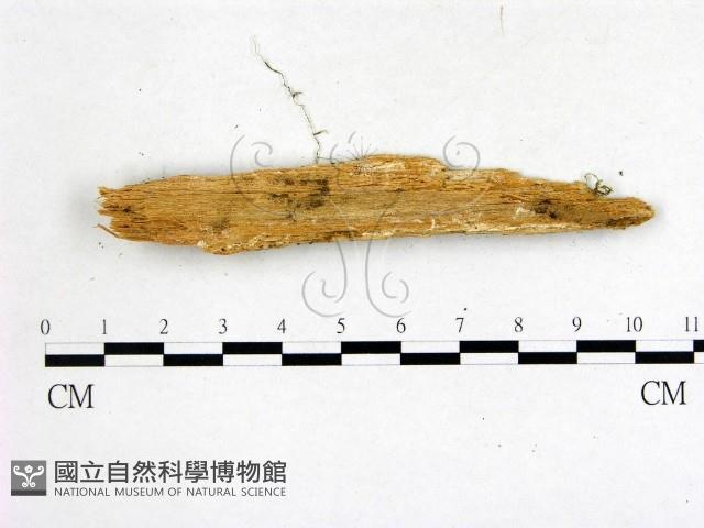 登錄號:F0020064藏品圖，第3張