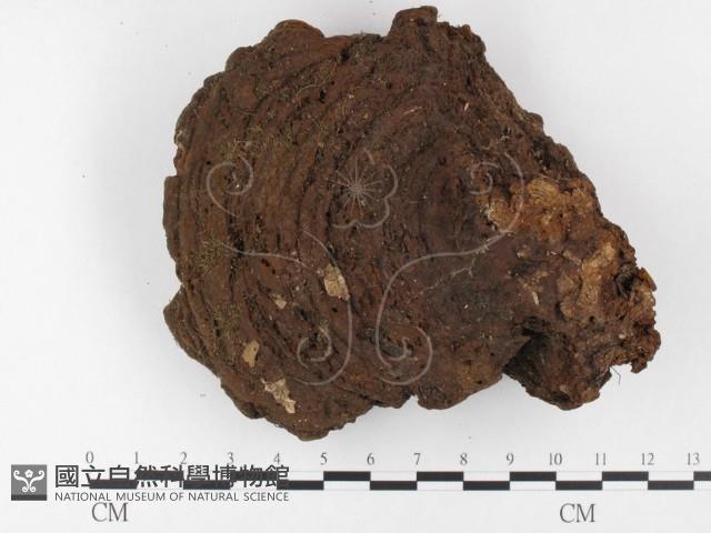 登錄號:F0026064藏品圖，第3張