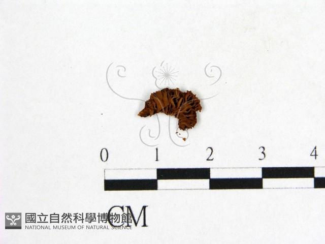 登錄號:F0016064藏品圖，第3張