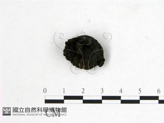 登錄號:F0004064藏品圖，第3張