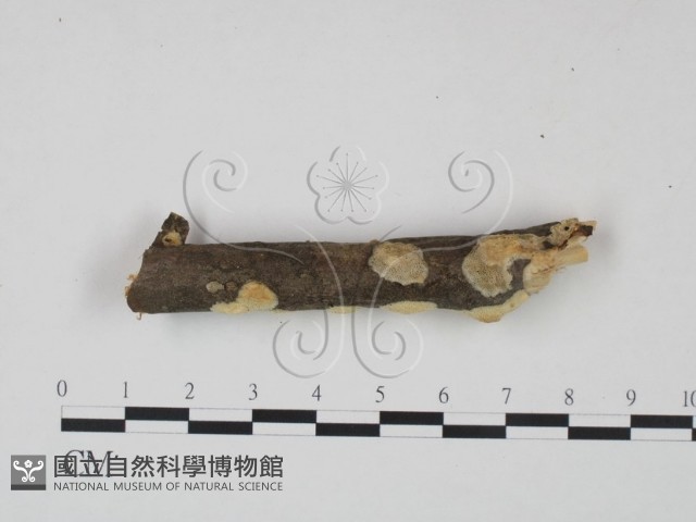 登錄號:F0022064藏品圖，第3張