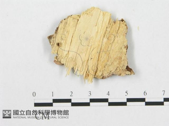 登錄號:F0007064藏品圖，第3張