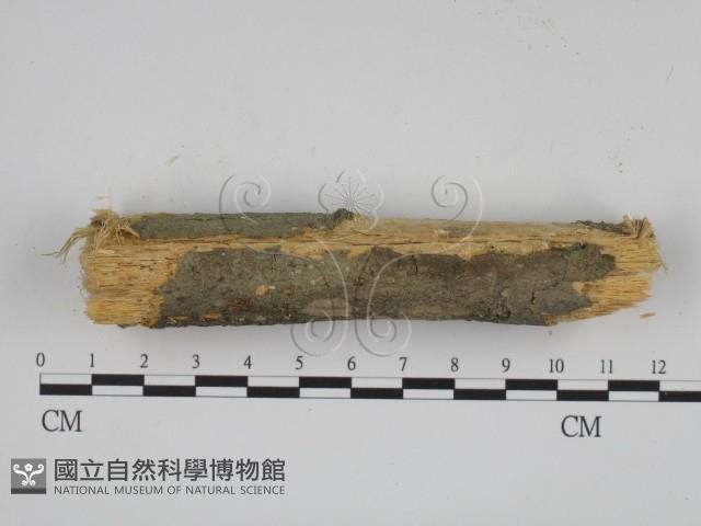 登錄號:F0001224藏品圖，第1張